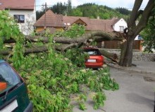 Kwikfynd Tree Cutting Services
loganvillage