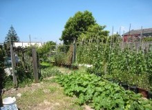 Kwikfynd Vegetable Gardens
loganvillage